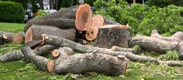 Soil Testing and Treatment in Lanham, MD