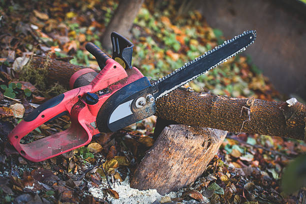 Lawn Renovation and Restoration in Lanham, MD